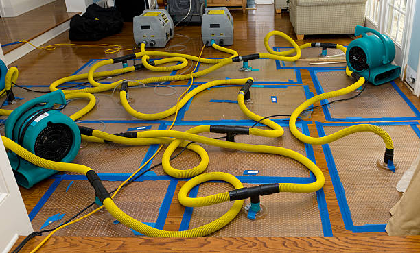 Professional Basement Flood Cleanup technician working in Goodman, WI